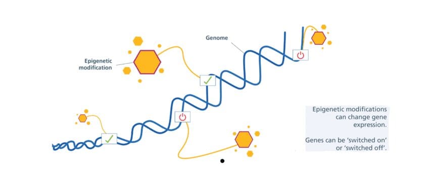 genomic